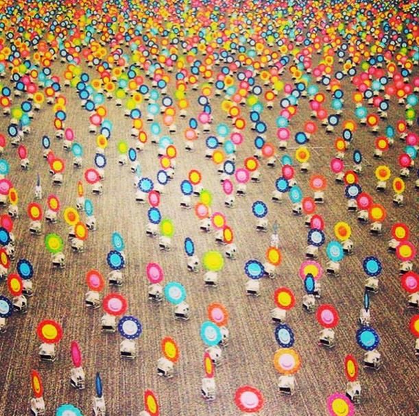 cafoscariuniversity la biennale