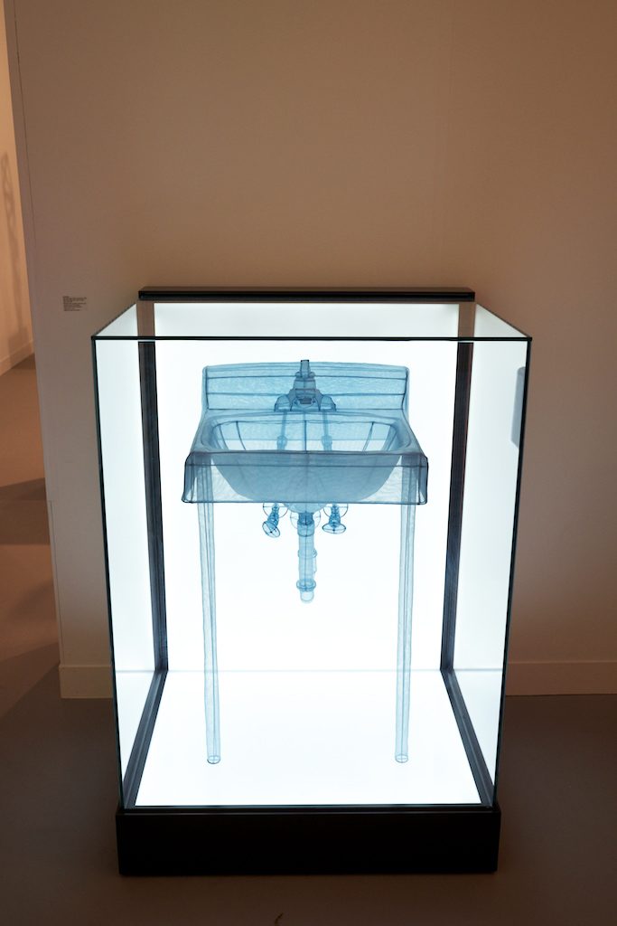 Do Ho Suh, Specimen Series, 2015