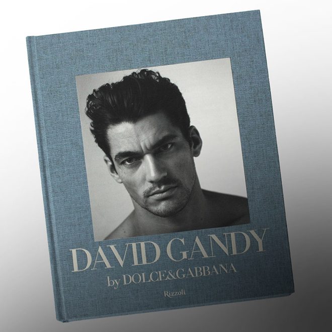 dolce gabbana david gandy book