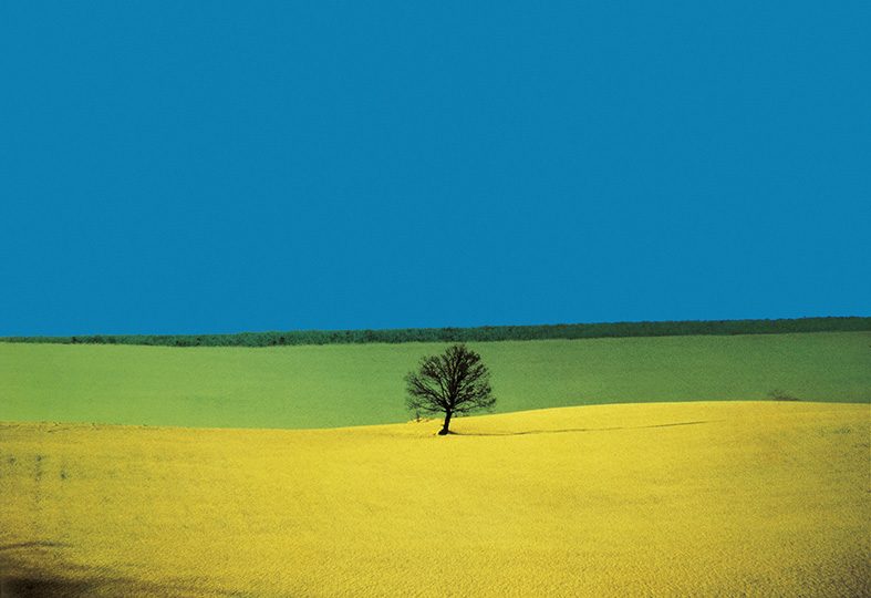 © Franco Fontana landscape photography