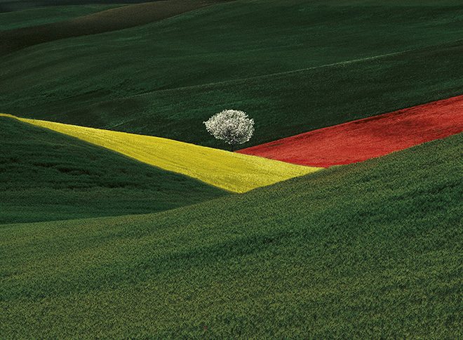 Franco Fontana: less is more