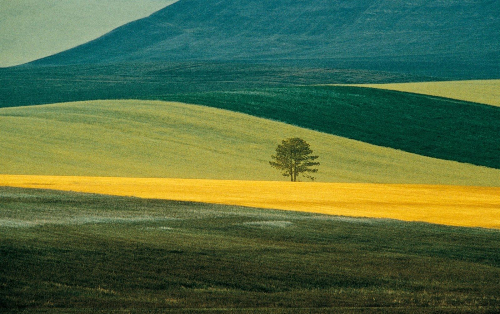 © Franco Fontana landscape photography
