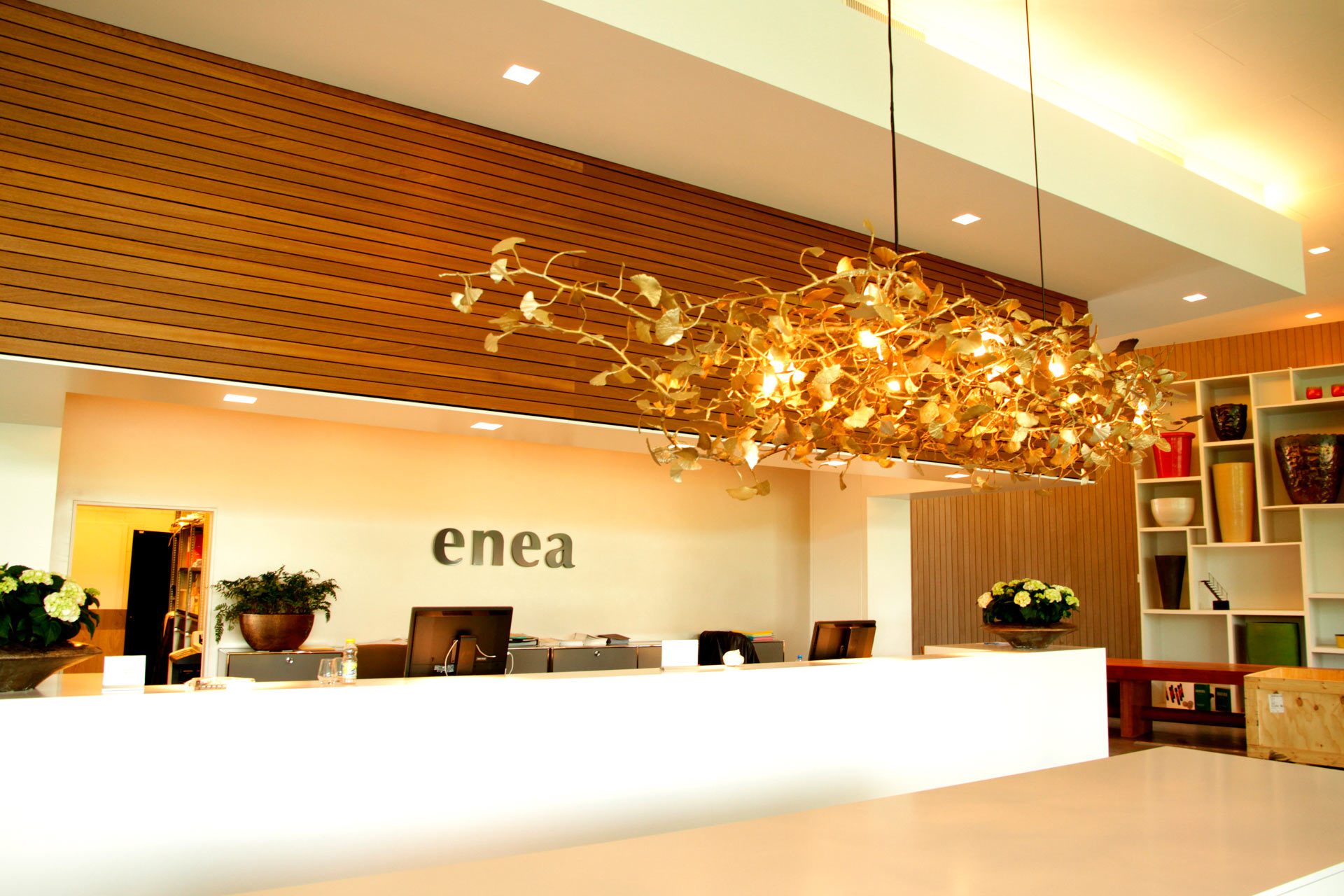 GINKGO-for-ENEA-landscapestudio-Zurich-1