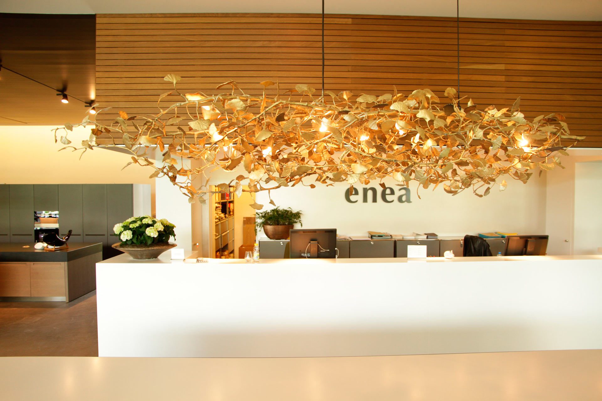 GINKGO-for-ENEA-landscapestudio-Zurich-2