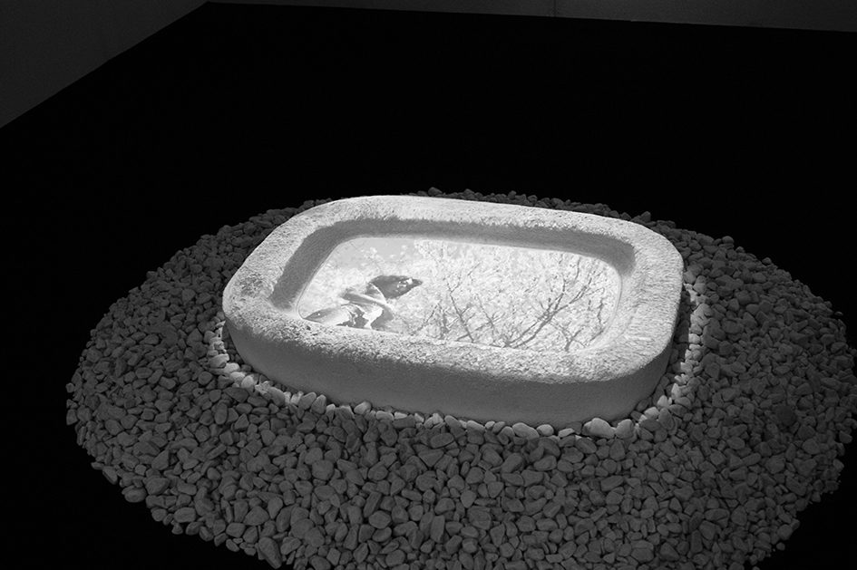 Water Shadow Four Seasons, Chang Kyum Kim. Hanmi Gallery