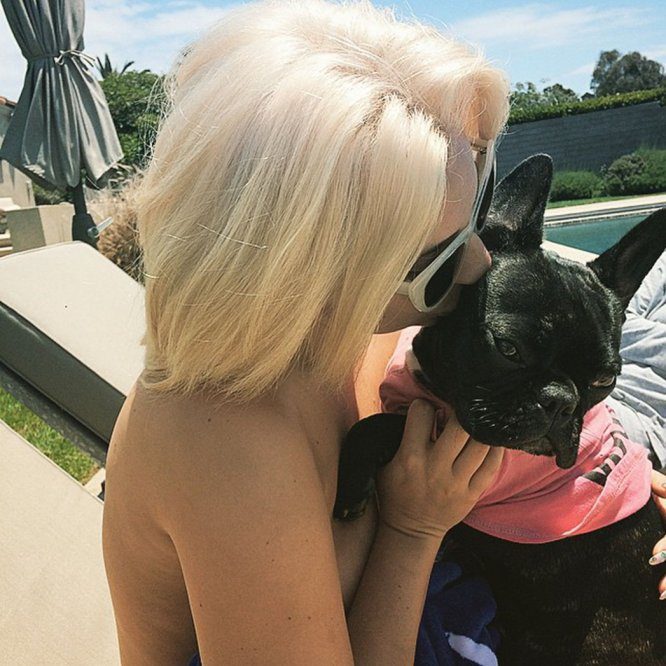 lady gaga and dog