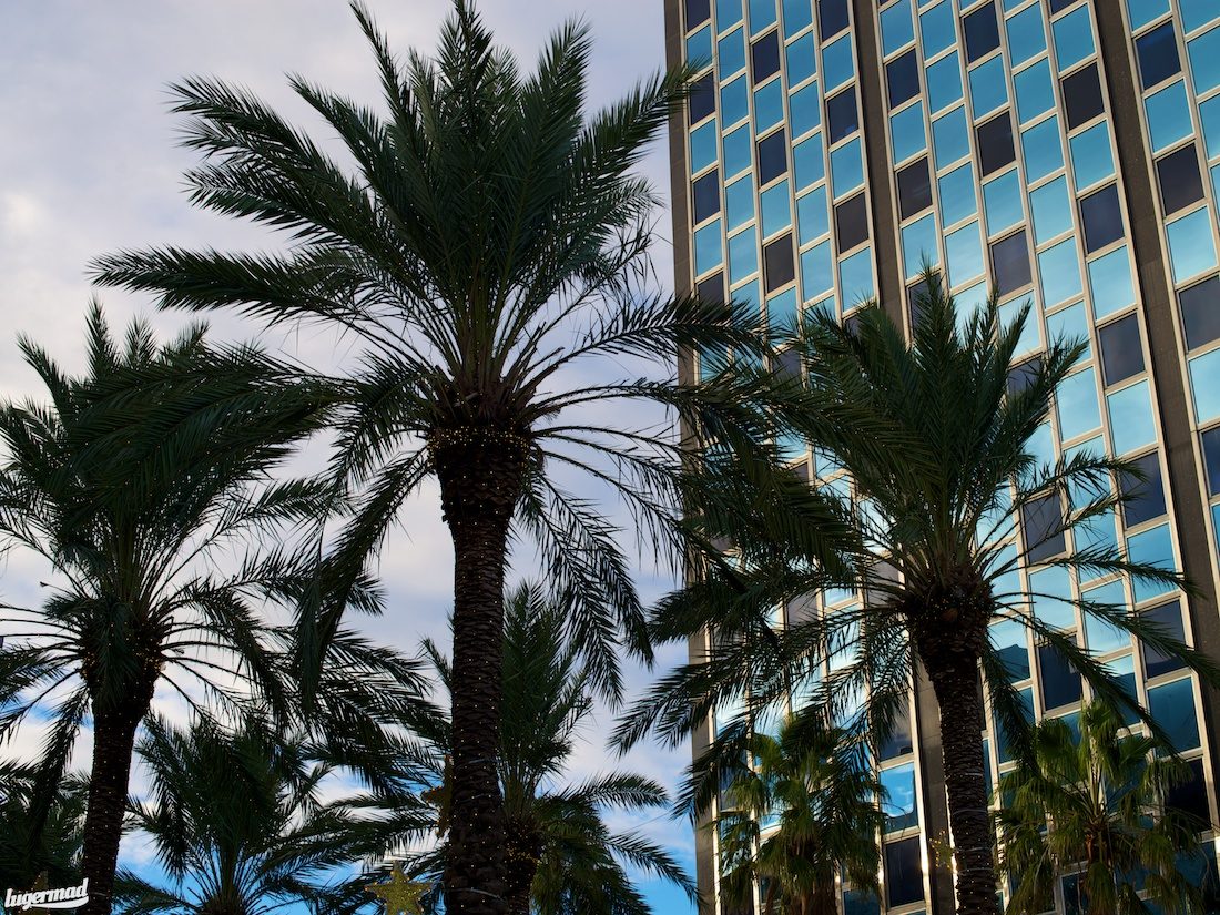 Miami, better than ever - AZAP