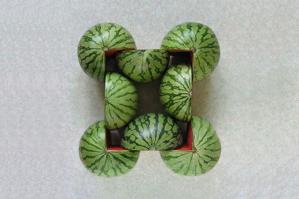 Creative food photography by Sakir Gokcebag
