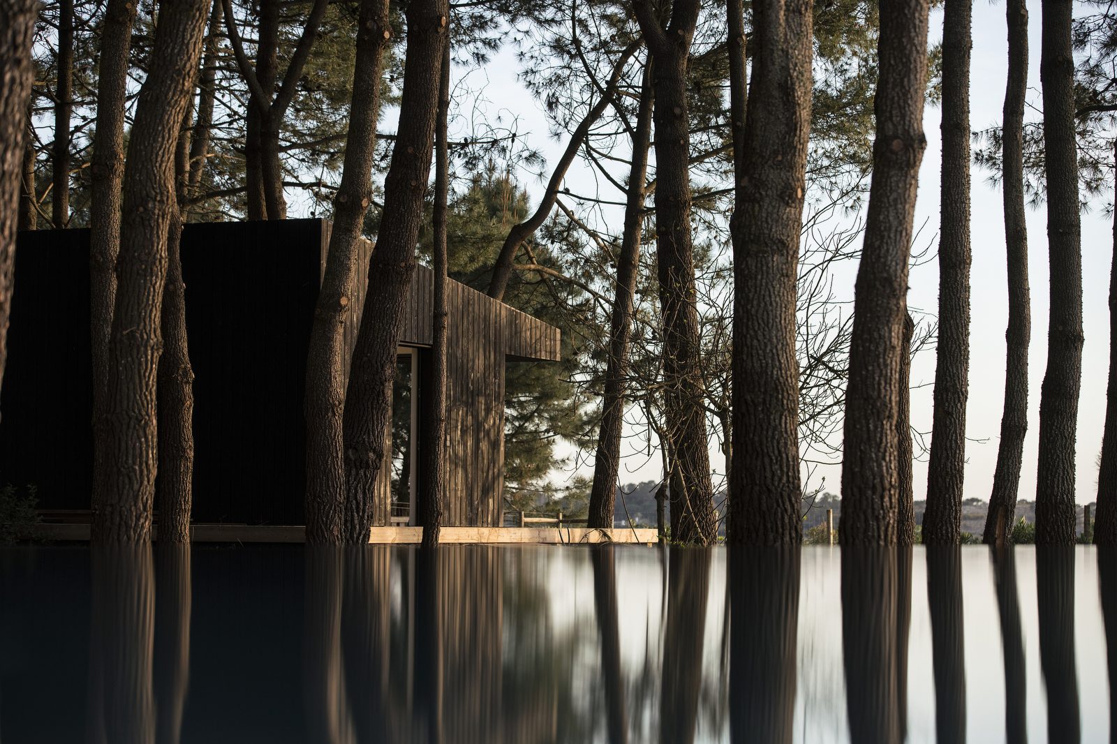 Modern wooden cabin with blackened timber facade among tall pine trees reflected in calm water at dusk