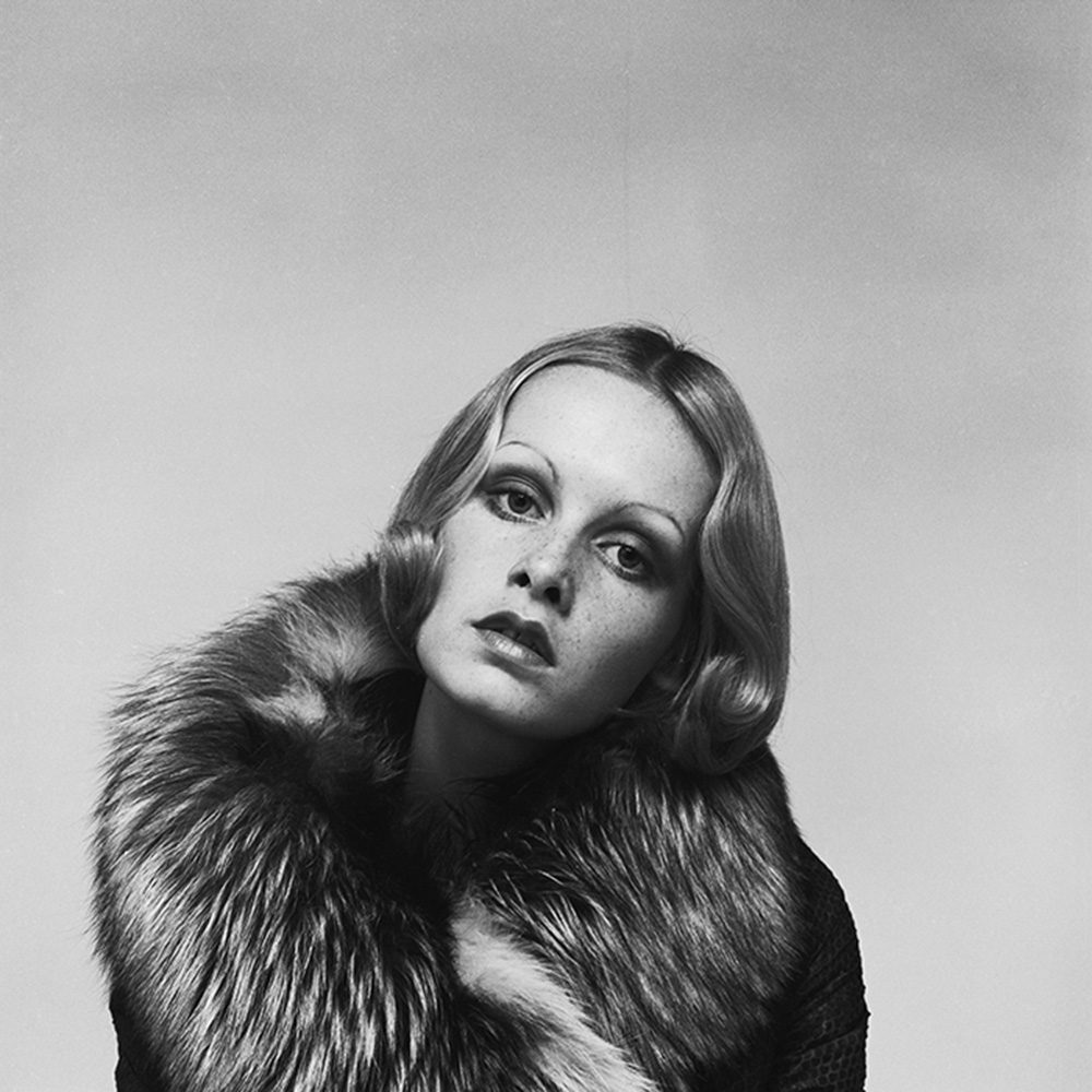 twiggy image