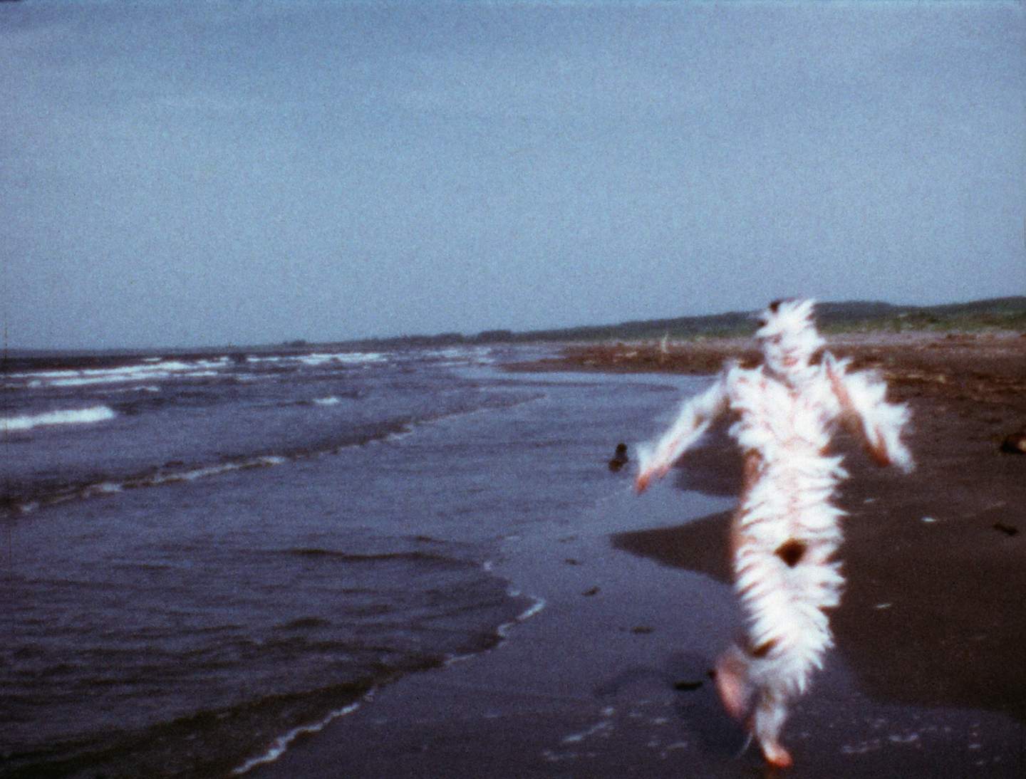 The Artist Who Disappeared into the Landscape