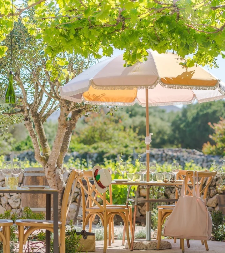 Bodegas Binifadet