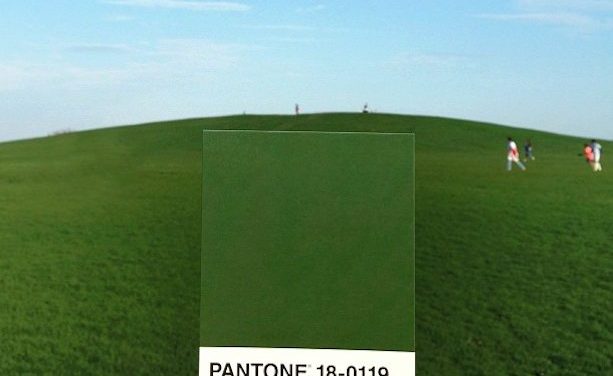 Pantone Project, by Paul Octavius