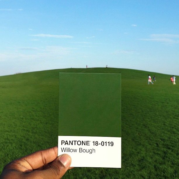 Pantone Project, by Paul Octavius
